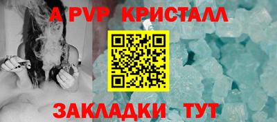 СК Новозыбков