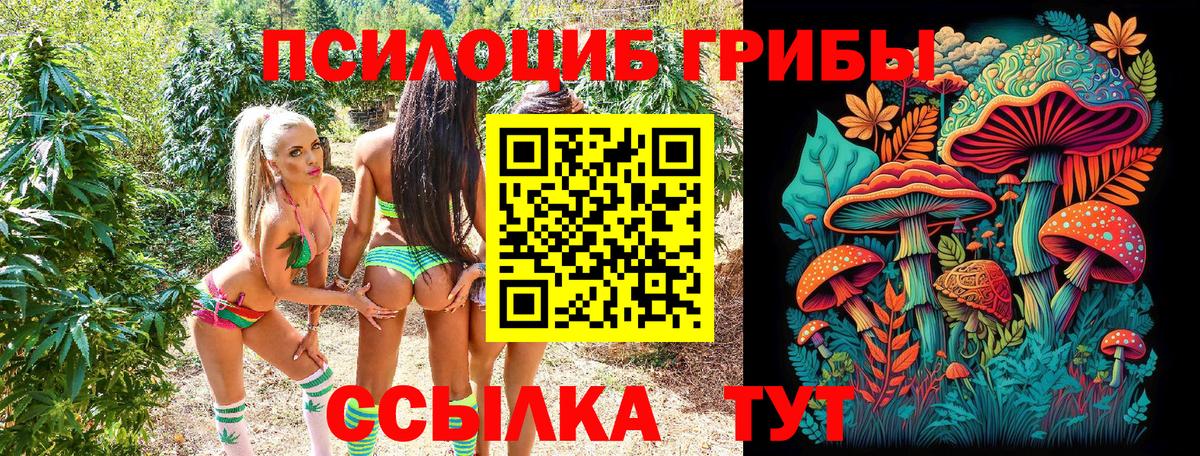 Галлюциногенные грибы прущие грибы  Вход с VPN  наркошоп  Галлюциногенные грибы GOLDEN TEACHER  Барабинск 