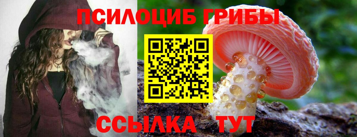 Псилоцибиновые грибы мухоморы Барабинск